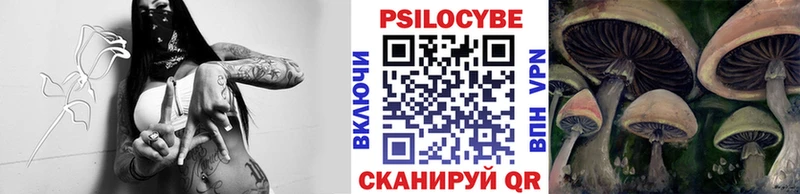 магазин  наркотиков  Ленинск  Галлюциногенные грибы мухоморы 