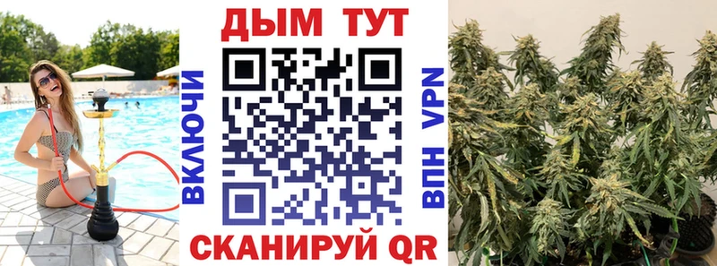 МАРИХУАНА гибрид  Ленинск 